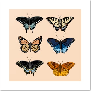 Butterflies Posters and Art